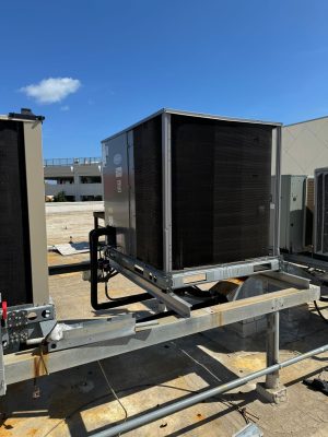 WhatsApp Image 2024-04-02 at 4.44.00 p. m. (1)